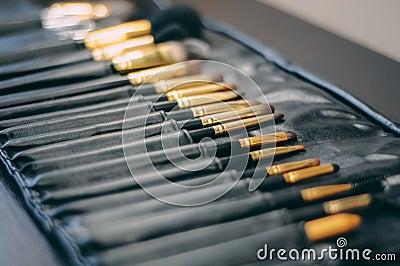 Set of professional face make up brush set for visagiste in beauty salon. Cosmetic, skin care accessories. Make-up artist tool kit Stock Photo