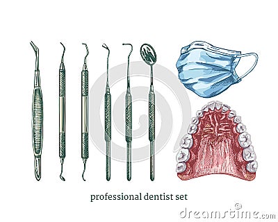 set of professional instruments for dental treatment Vector Illustration