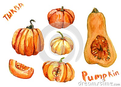 Set of pumpkin isolated illustration with lettering on English and Russian for halloween and Fall on white background. Watercolor Cartoon Illustration