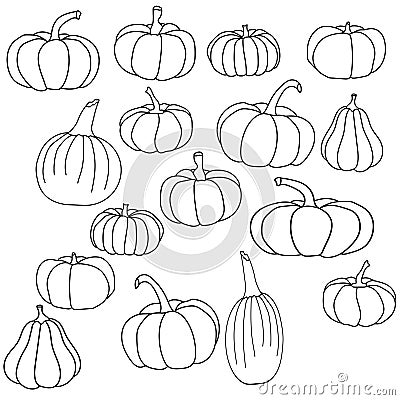 Set of pumpkins of various shapes, doodle vegetable harvest, coloring page on the autumn theme Vector Illustration
