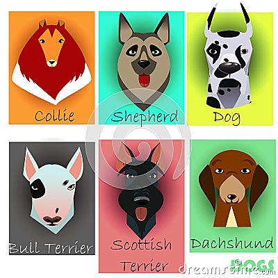 Set with purebred dogs Vector Illustration