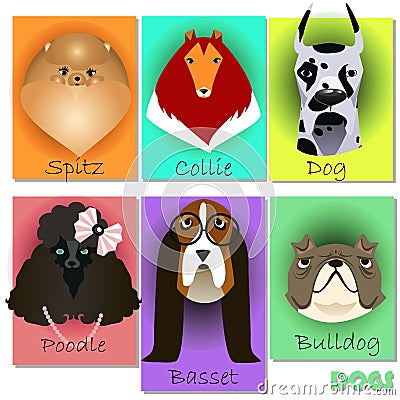 Set with purebred dogs Vector Illustration