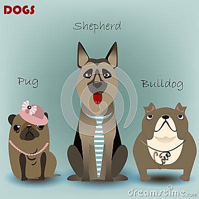 Set with purebred dogs Stock Photo