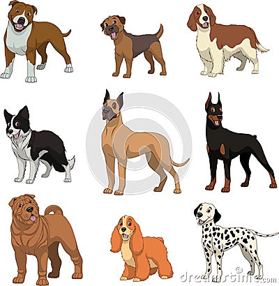 Set purebred dogsn Vector Illustration