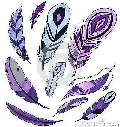 Set of purple bird feathers isolated on white. marker art. concept for cards, , congratulations, branding. Stock Photo