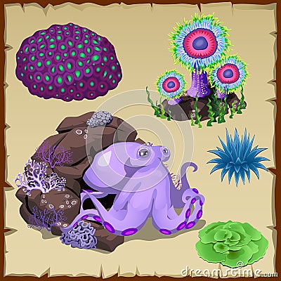 Set of purple octopus and underwater vegetation Vector Illustration