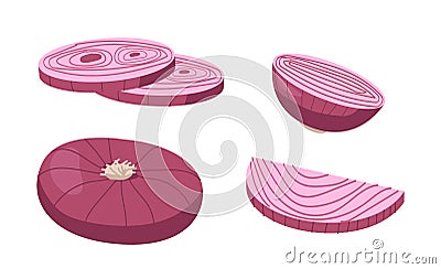 Set of Purple Onions, Garden Vegetable, Eco Farm Production. Natural Plant, Veggies Culture. Healthy Food, Organic Bulb Vector Illustration