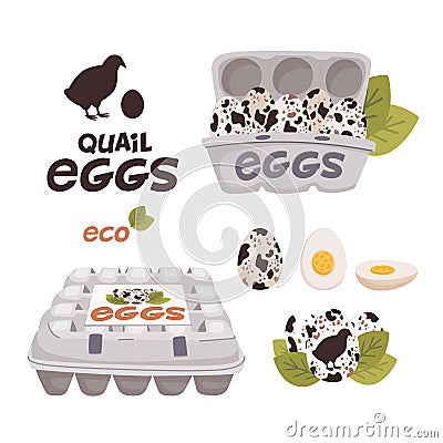 Set of quail, Eggs in cardboard boxes and Fresh farm eggs logo. Organic farm product, eco. Cooking ingredient. Flat Vector Illustration