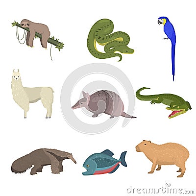 Set of wild south america animals, parrot and fish isolated on white background Vector Illustration