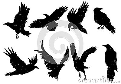 Set of ravens. A collection of black crows. Silhouette of a flying crow. Vector illustration of ravens silhouette Vector Illustration