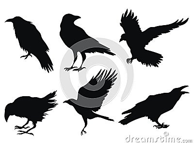 Set of ravens. A collection of black crows. Silhouette of a flying crow. Vector illustration of ravens silhouette Vector Illustration