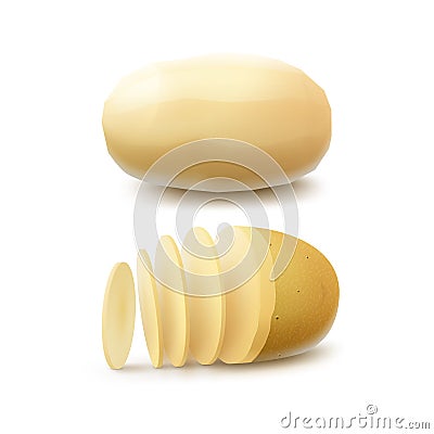 Set of Raw Whole Peeled and Sliced Potatoes Vector Illustration