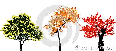 Set of real colorful autumn tree Vector Illustration