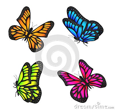 Set of real colorful butterfly flying isolated Vector Illustration