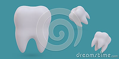 Set of realistic angular teeth. White healthy molar, view from different sides Vector Illustration