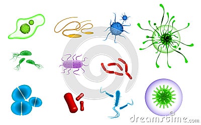 Set of realistic bacteria or various microscopic virus and germs or realistic micro organism bacterium isolated. eps 10 vector, Vector Illustration