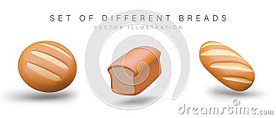 Set of realistic bread loaves of different types. Square toasted, round yeasted, sourdough bread Vector Illustration