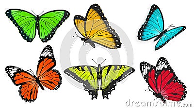 Set of realistic, bright and colorful butterflies, butterfly vector Vector Illustration