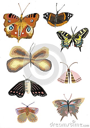 Set of realistic colorful butterflies, butterfly watercolor illustration Cartoon Illustration