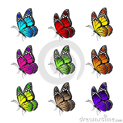 Set of Realistic Colorful Butterflies Isolated for Spring Vector Illustration