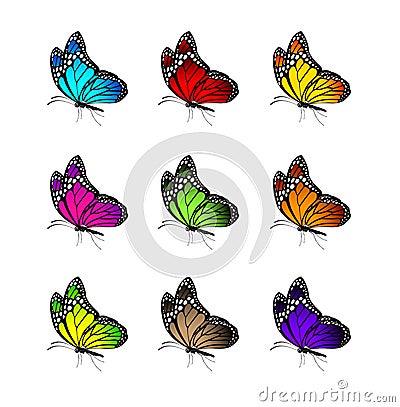 Set of Realistic Colorful Butterflies Isolated for Spring Vector Illustration