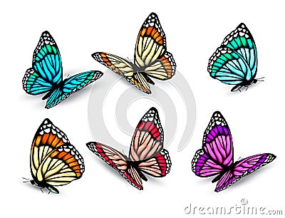 Set of realistic colorful butterflies. Vector Illustration