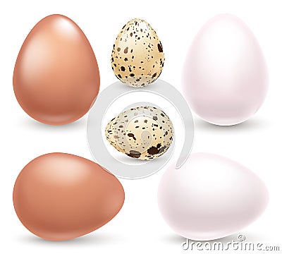 Set of realistic eggs on white background. Easter collection. Vector illustration. Vector Illustration