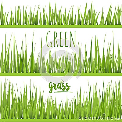 Set realistic green grass lawn Vector Illustration