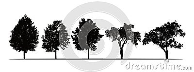 Set realistic illustrations of silhouettes of fruit trees - linden, apple and plum - isolated on white background, vector Vector Illustration