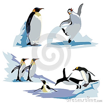 A set of realistic imperial penguins in different poses. Adult birds and chicks. Vector Illustration