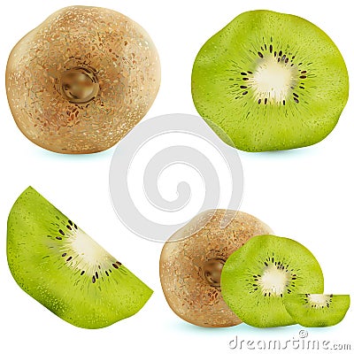 Set of realistic kiwi. Vector illustration, fruits on a white background, vitamins Vector Illustration