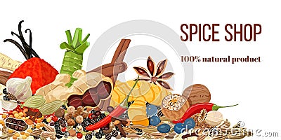 Set of Realistic popular culinary spices. Spice store logo. Shop sign Stock Photo