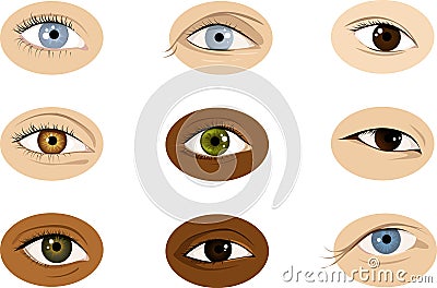 Set of human eyes Vector Illustration