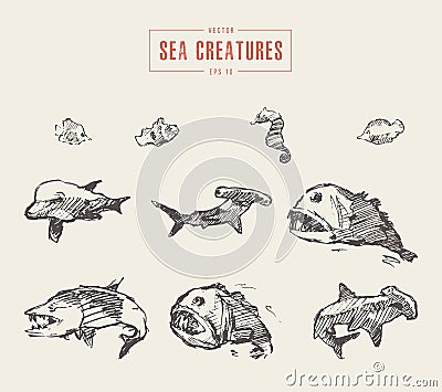 Set realistic sea creatures drawn vector sketch Vector Illustration