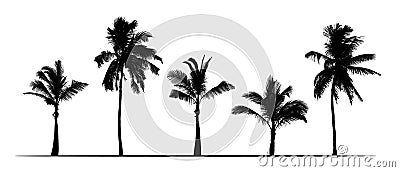 Set of realistic silhouettes of palm trees. Isolated on white background, vector Vector Illustration