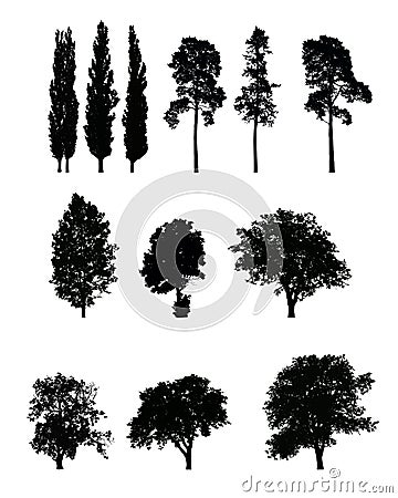 Set of realistic silhouettes of trees, isolated Vector Illustration