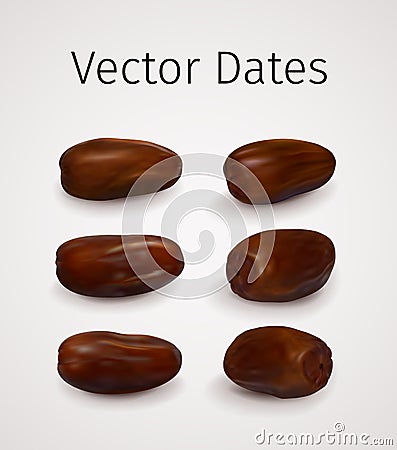 Set of Realistic Vector Dates Fruit Vector Illustration