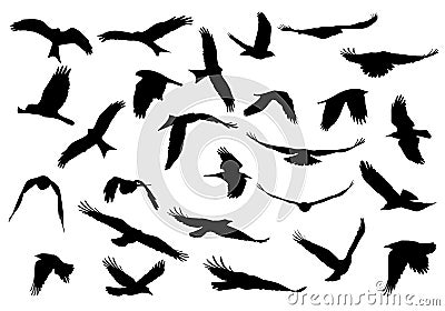 Set of realistic vector illustrations of silhouettes of flying b Vector Illustration