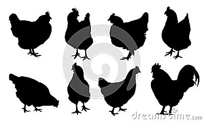 Set of realistic vector silhouettes of hens, chickens and isolated Vector Illustration
