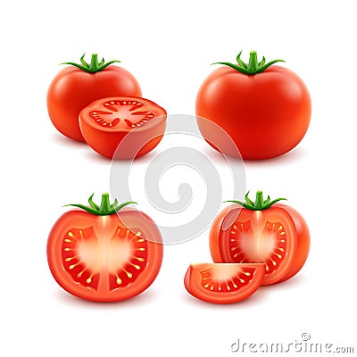 Set of Red Fresh Cut Whole Tomatoes Close up Vector Illustration