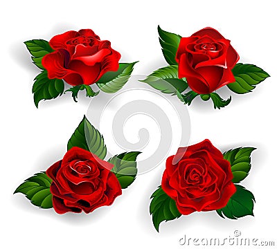 Set of red roses Vector Illustration