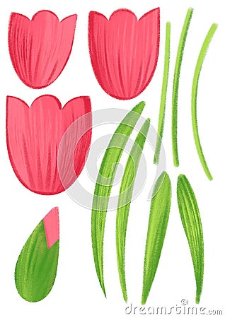 red tulips, hand grawn isolated Stock Photo