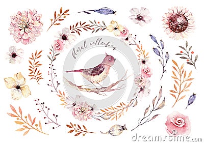 Set of red and yellow autumn watercolor leaves, birds and berries, hand drawn design foliage elements. Stock Photo