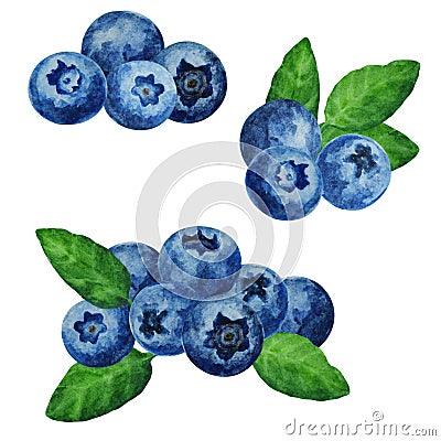 Set of ripe blueberries with leaves, watercolor Cartoon Illustration