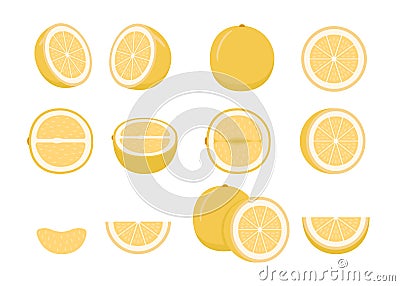 Set of ripe fruit pomelo - whole, cut half, piece and slice chopped. Fresh sour tropical exotic citrus fruit with Vector Illustration