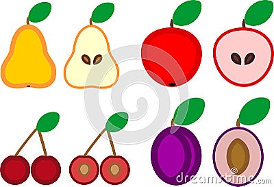 Set of ripe fruits cut in half inside longitudinal section in flat style Stock Photo