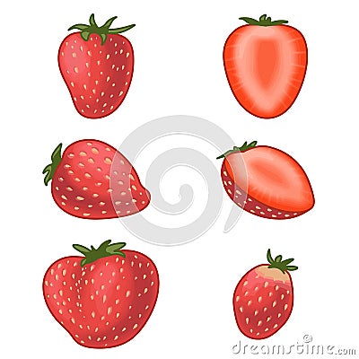 Set of ripe juicy strawberries. Whole berry fruits and slices of different shapes. Vector Illustration