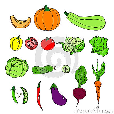 Set of ripe vegetables. Cartoon. Vector Illustration