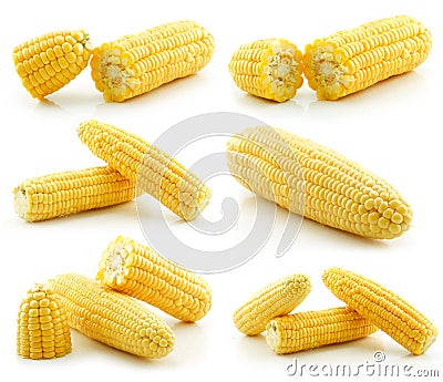 Set of Ripe Yellow Corn Isolated on White Stock Photo