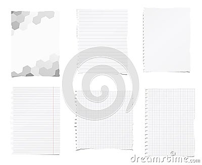 Set of ripped white, ruled, math notebook paper are stuck on background Vector Illustration